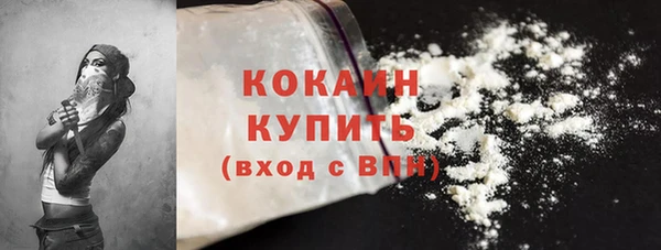 молекула духа Белоозёрский