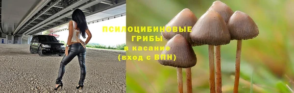ECSTASY Бронницы